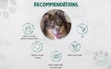BeNat All-Natural Pet Shampoo Bar - Organic Oat & Lavender Dog Soap for Itchy Skin Relief, Deep Cleansing & Conditioning, Eco-Friendly