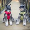 Venture Paw Pull Control Dog Harness - Aspen
