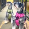 Venture Paw Pull Control Dog Harness - Aspen
