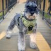 Venture Paw Harness - Aspen