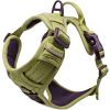 Venture Paw Harness - Aspen