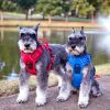 Venture Paw Harness - Crimson