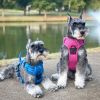 Venture Paw Harness - Mountain Lake