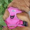 Venture Paw Harness - Wild Raspberry