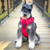 Venture Paw Pull Control Dog Harness - Crimson